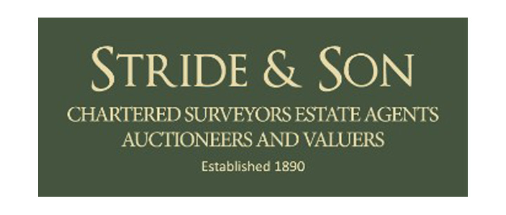 Stride And Son Logo 720px